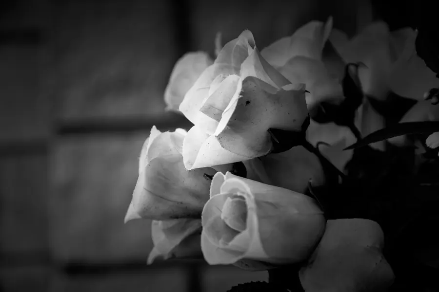 Weiße Rosen als Zeichen des Gedenkens